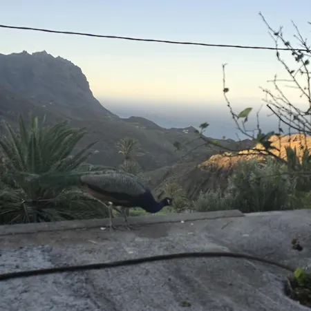 3br Rustic House - Seaviews & Minibar Feriehus Vallehermoso